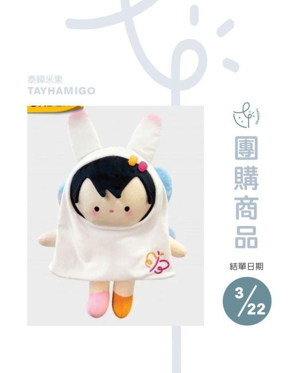 團購3/22結單｜ANY抱抱大娃｜ANY HUGGABLES PLUSH｜泰韓米果 