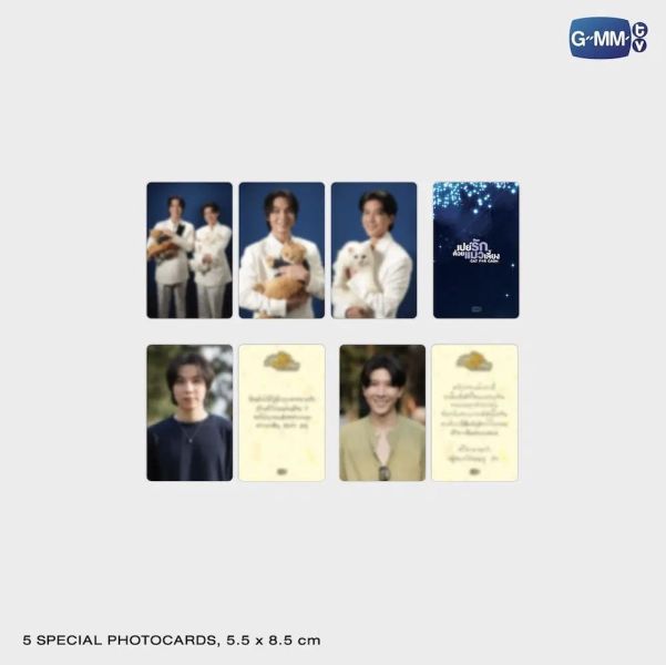 團購4/24結單 | CAT FOR CASH MEMORIAL BOXSET｜泰韓米果 