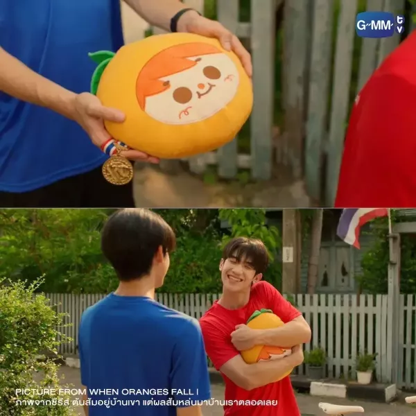 團購8/10結單｜When Oranges Fall 終映周邊 ｜泰韓米果 