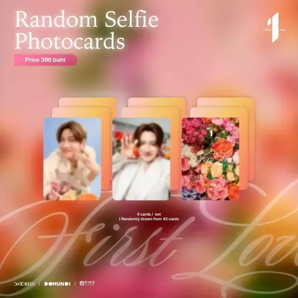 團購3/1結單｜DMD FIRSTONE  FIRST LOVE周邊 ｜泰韓米果 