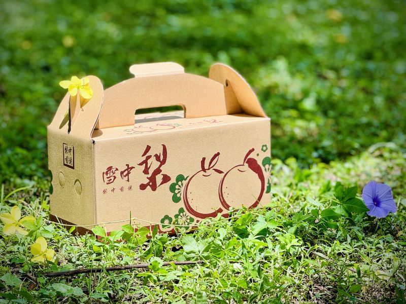 巨無霸甘露梨 40A 登場 父親節限定｜巨無霸甘露梨 40A 登場！ 🍐

想送爸爸不一樣的禮？

這顆大到懷疑人生的甘露梨,絕對夠份量！



✅ 40A超巨大尺寸,一顆抵兩顆！

✅ 果肉細緻、多汁甘甜～一口就愛上

✅ 活動期間享88折優惠！
