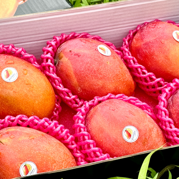 坊山愛文芒果【精品禮盒】 🥭坊山愛文芒果🥭【在欉紅❗️】

等了整整一年😍 #外銷日本等級