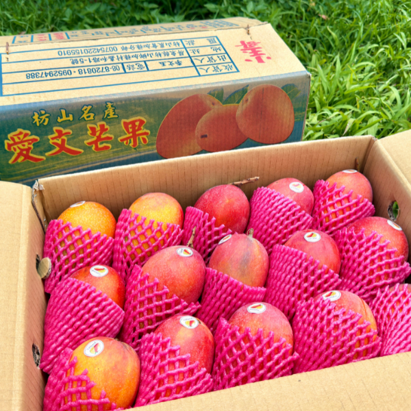 坊山愛文芒果【整箱吃到爽】 芒果,愛文芒果