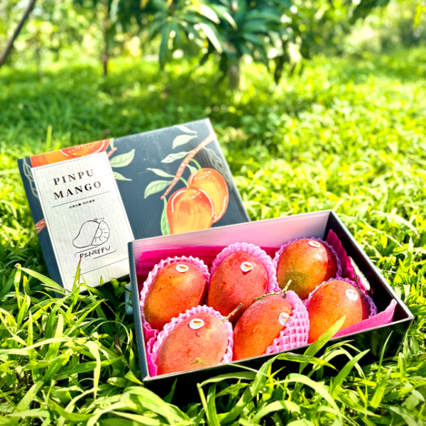 坊山愛文芒果【精品禮盒】 🥭坊山愛文芒果🥭【在欉紅❗️】

等了整整一年😍 #外銷日本等級