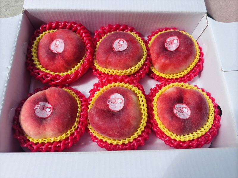 桃仙子蟠桃登場｜仙氣撲鼻的夢幻美味 🍑桃仙子蟠桃登場｜仙氣撲鼻的夢幻美味🍑
顏值爆表的扁扁蟠桃,一口咬下仙氣飄飄～
香氣濃、甜度高、果肉細緻多汁,
每一顆都像是從天庭掉下來的神仙水果！

每盒「1200元」兩盒免運‼️
嚐嚐來自仙境的美食🌤️

☁️ 每日限量空運來台,錯過只能等明年！
💗 自用療癒、送禮大方,蟠桃控千萬別錯過！

#桃仙子 #蟠桃 #空運來台 #夢幻蜜桃 #仙女的最愛