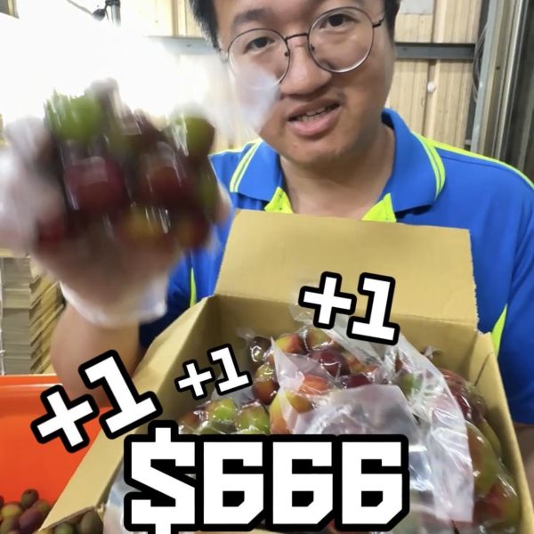 『寶寶醃桃』超級大特價！ 老闆直接不賺💥寶寶醃桃大放送‼️

這波是超級限量🔥錯過就沒有啦❤️‍🔥



💥寶寶醃桃限量開賣💥

寶寶醃桃5包只要👉$666‼️

10包只要👉$999‼️

通通免運🔥直接送到家