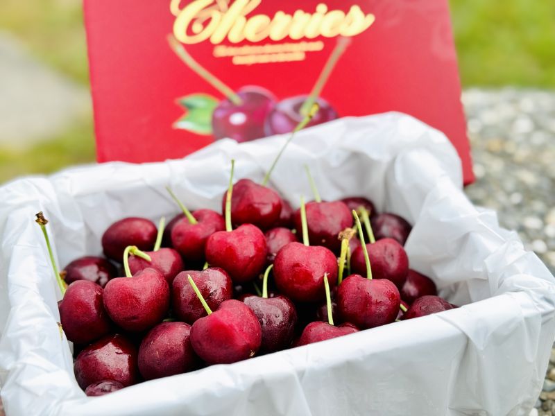 Skeena 華盛頓8R《空運櫻桃》1kg禮盒 🍒**美國華盛頓空運櫻桃來啦！**🍒
大果規格 9R！粒粒飽滿、超級爽脆✨
空・運・直・送 ✈️ 最新鮮的甜蜜風味！

🥰 一盒只賣999元！（1公斤）
📦📦 買兩盒還免運！！

又甜又爆汁,絕對讓你一吃成主顧！
錯過等一年,現在就是最佳賞味期！

🔔數量不多,手刀預訂！