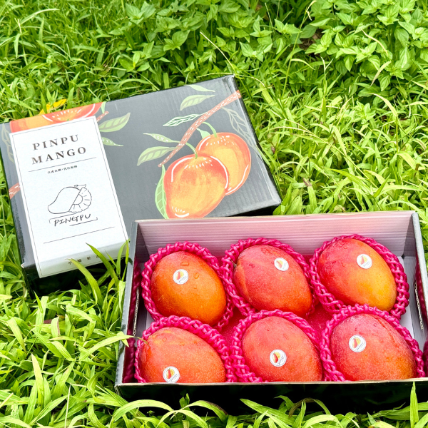 坊山愛文芒果【精品禮盒】 🥭坊山愛文芒果🥭【在欉紅❗️】

等了整整一年😍 #外銷日本等級