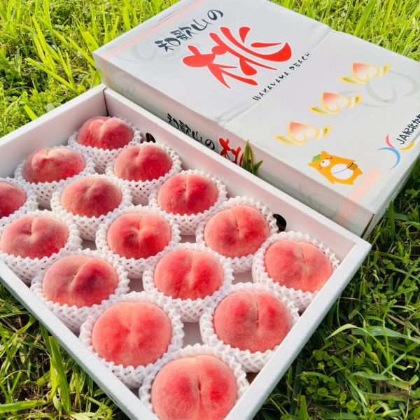 日本和歌山水蜜桃｜極品中極品 日本和歌山水蜜桃｜極品中極品🍑

來自日本最負盛名的水蜜桃產地——和歌山

每一顆皆由職人手工細選

外觀完美、香氣撲鼻、甜度破表