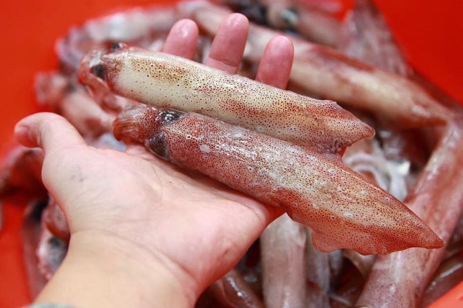 登峰特選鮮凍中小脆卷 