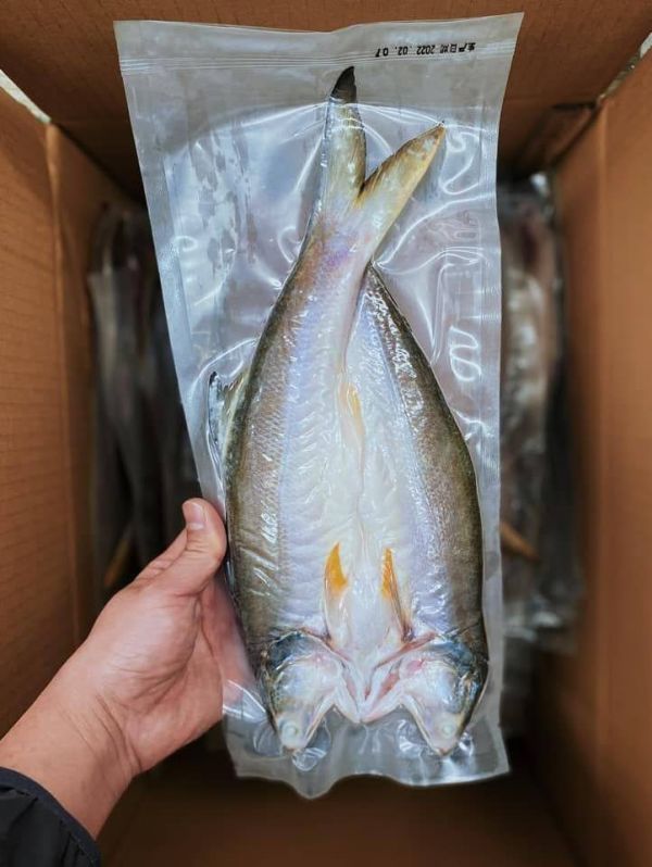 登峰の大午仔魚(一夜干) 