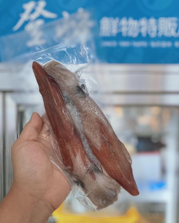 東北角手釣活凍透抽 