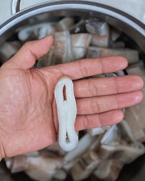 登峰手切鮮凍魷魚圈(2包優惠組) 