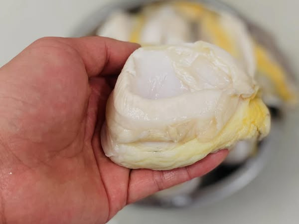 登峰特選智利野生鮑魚 