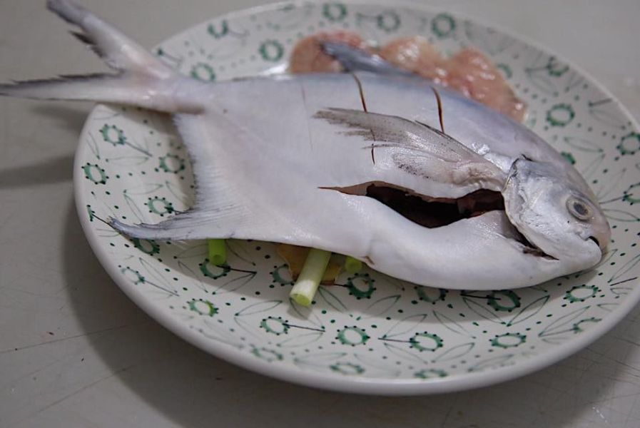 印度洋捕撈正白鯧魚 