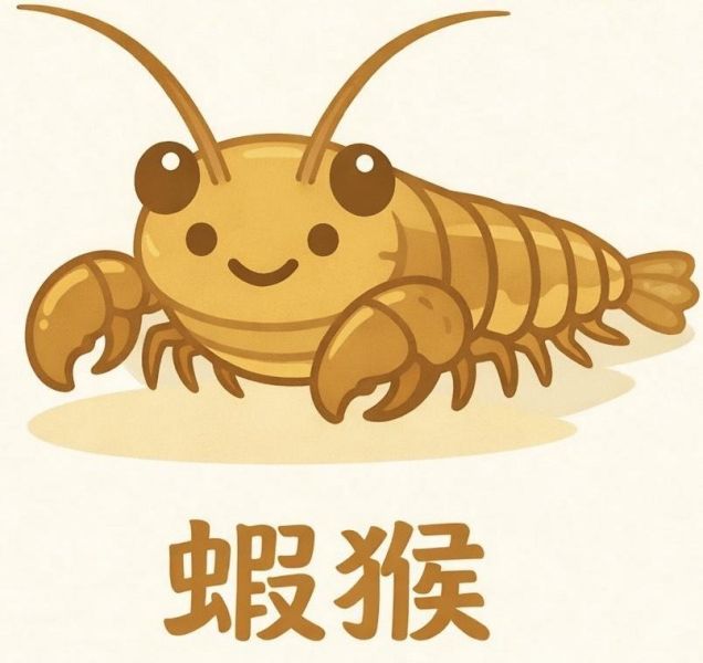 鄧氏姊妹蝦猴風味水餃 蝦猴水餃,海鮮水餃,冷凍水餃,水餃推薦,特色水餃,台灣水餃,蝦猴海鮮水餃,家庭料理水餃