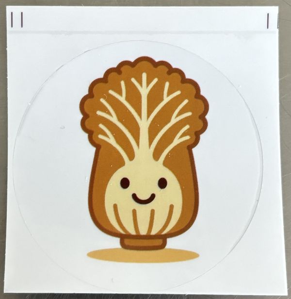 鄧氏姊妹雞肉白菜水餃 雞肉水餃,雞肉大白菜水餃,冷凍水餃,水餃推薦,清爽水餃,台灣水餃,快速料理,家庭料理