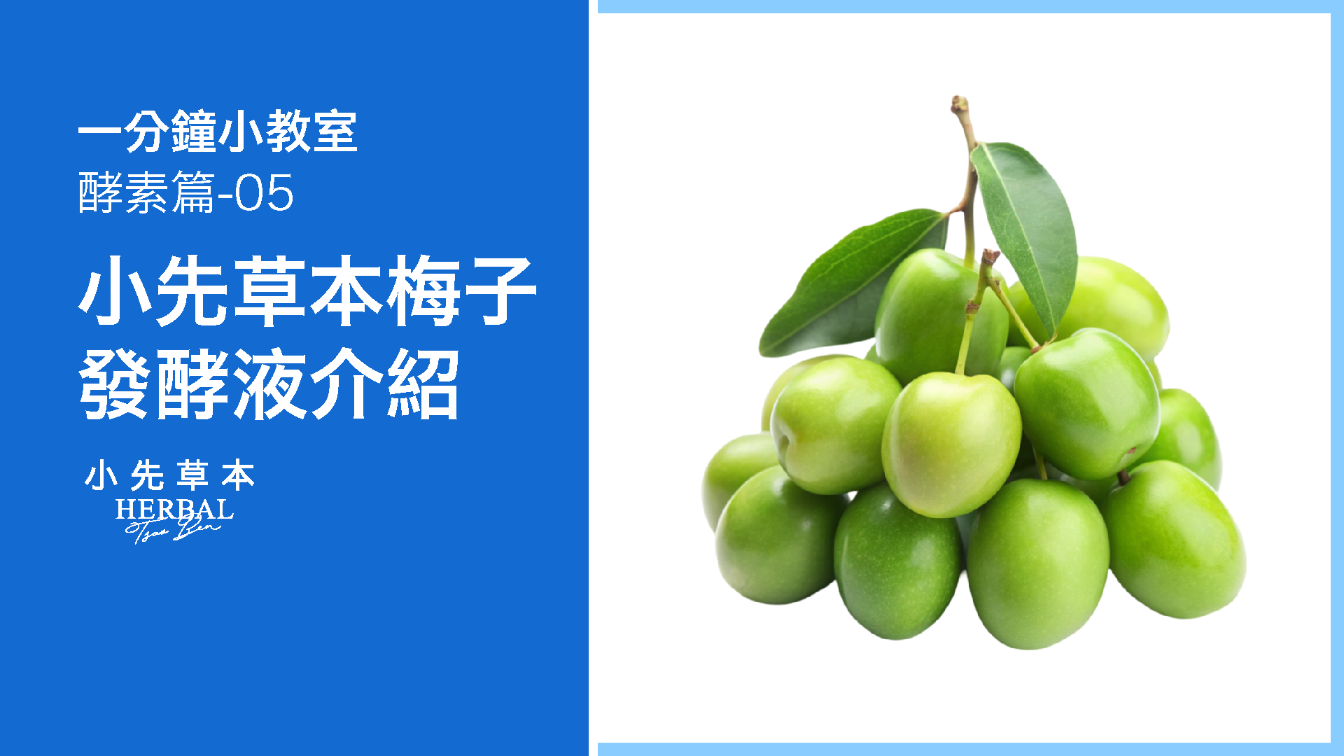 小先草本 - 梅子發酵液