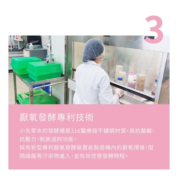 梅子發酵液 隨身包15入盒裝 | 天生好氣色 小先草本,發酵液,梅子發酵液,梅子酵素,台東梅子,青梅酵素,黃梅酵素,液態水果,天然水果發酵液,水果發酵液,隨身包,出門旅行