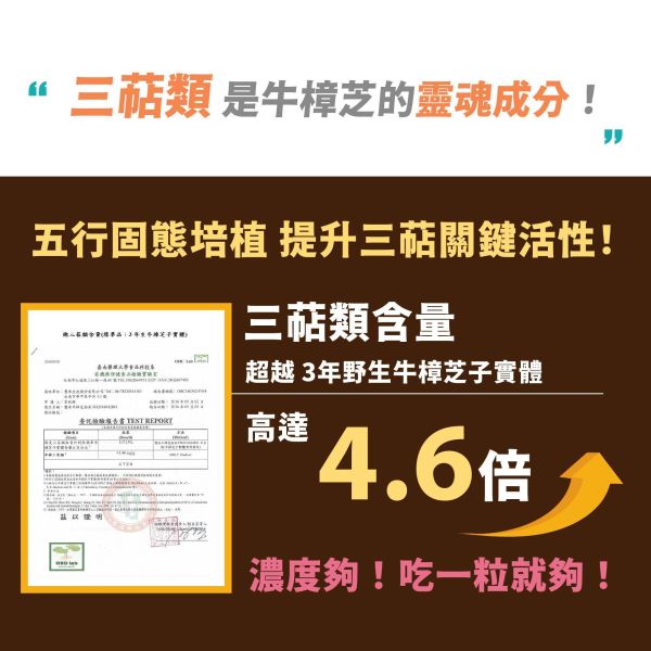 每日三鐵 五行牛樟芝菌絲體膠囊30粒盒裝 | 提升深層動力 小先草本,牛樟芝推薦,高純度牛樟芝,三萜類含量,固態培植,專利牛樟芝,五行調和,溫和牛樟芝,頂級牛樟芝,牛樟芝功效,牛樟芝食用,牛樟芝專利,無添加牛樟芝,養生滋補,牛樟芝好處,台灣牛樟芝,SGS檢驗合格,重金屬檢測,微生物檢測,西藥檢測
