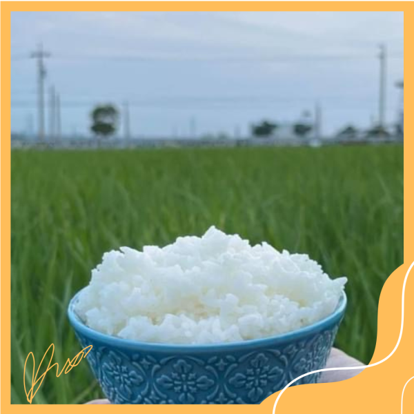 用心米舖-有機好米 有機米