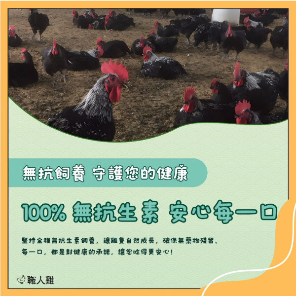 職人雞滴雞精 無抗生素,不使用生長激素,黑羽土雞,古法淬煉滴雞精。