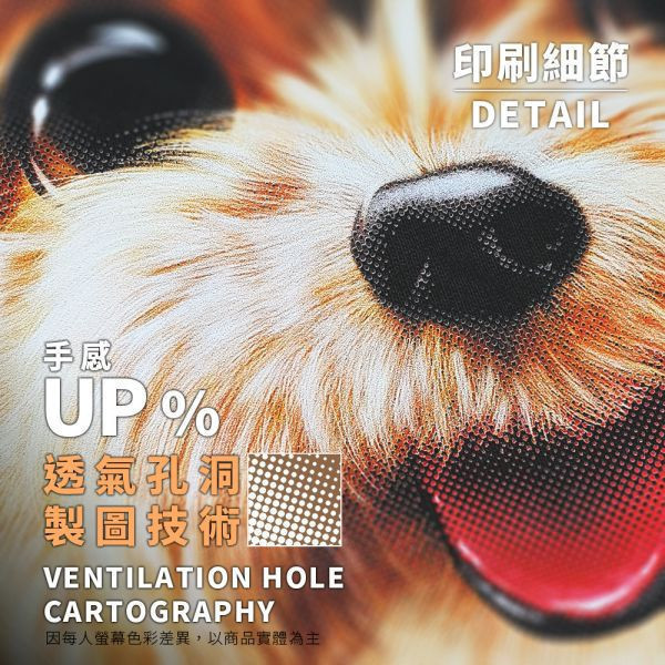 台灣TAIWAN自創品牌潮流T恤-圓領純棉短袖T-限定版(轉印)-貴賓犬 印花T恤、插畫T、創意圖案T恤、MITT恤、台灣製T恤、高品質純棉T恤、情侶T恤、情侶裝T恤、情侶短袖