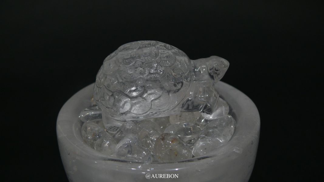 特別款｜健康聚寶盆 