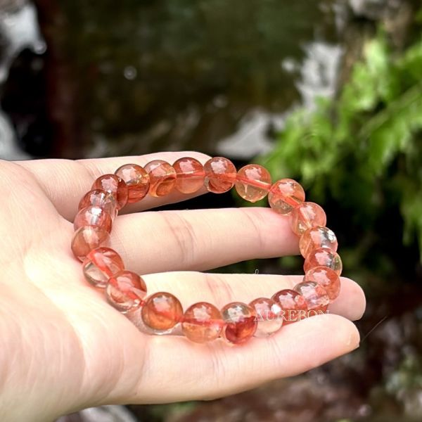 年度行運密碼689｜紅嬌花・蛻變綻放・行動創造能量（全紅嬌花特製款） 