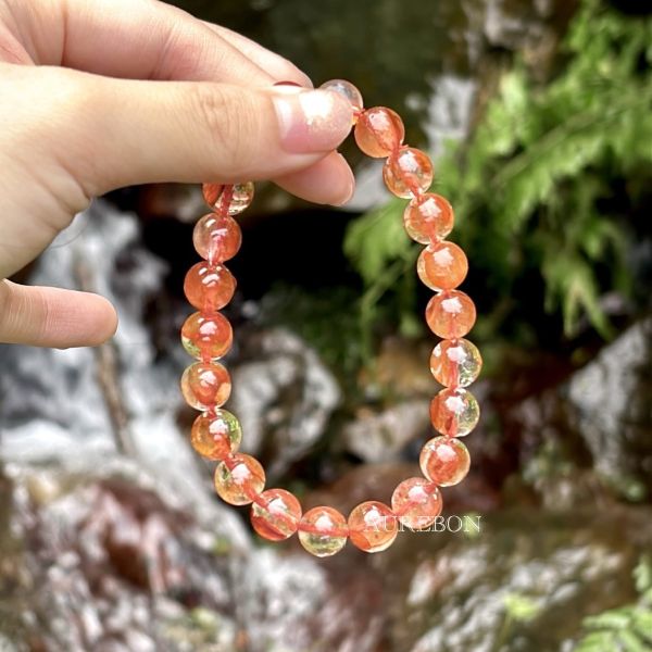 年度行運密碼689｜紅嬌花・蛻變綻放・行動創造能量（全紅嬌花特製款） 