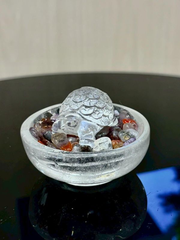 特別款｜健康聚寶盆 