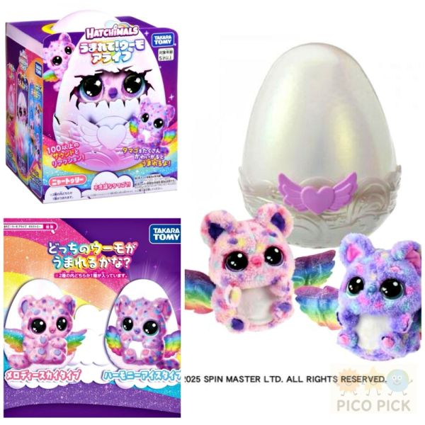 【日本限定】Takara Tomy Hatchimals Alive互動孵化寵物｜魔法羽毛版 全新限定設計｜會自己破殼出生的互動玩具 