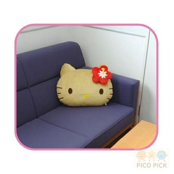 預購商品 請私訊 日本直送｜Hello Kitty 日燒系列臉型抱枕｜療癒家飾靠枕｜兩款可選 