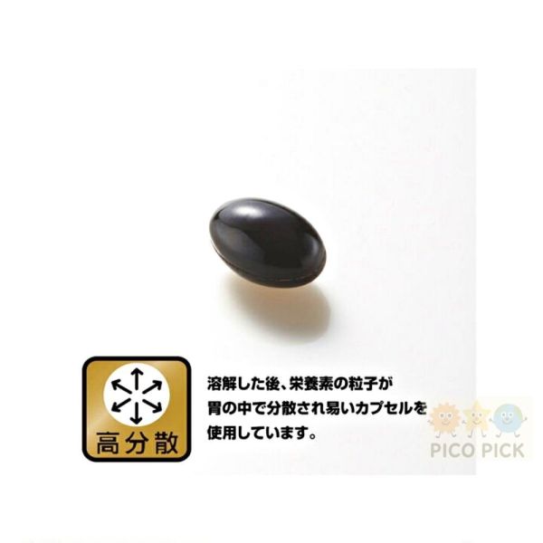 日本 野口醫學研究所 銀杏葉DHA＋EPA記憶力營養補充膠囊 30日份 