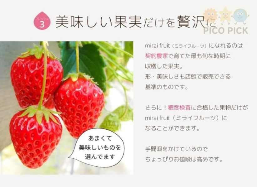 現貨 日本直送｜純天然Mirai Fruits 冷凍乾燥水果片 100%純天然無添加｜寶寶副食品＆大人零食首選（4款） 