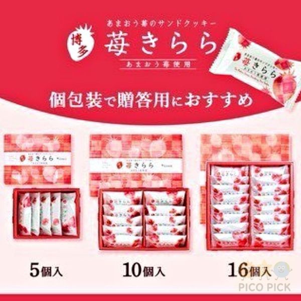 日本 博多風美庵 期間限定 九州福岡 甘王草莓餅乾 草莓奶油夾心巧克力餅乾 日本甜點 日式點心 人氣甜點 伴手禮 