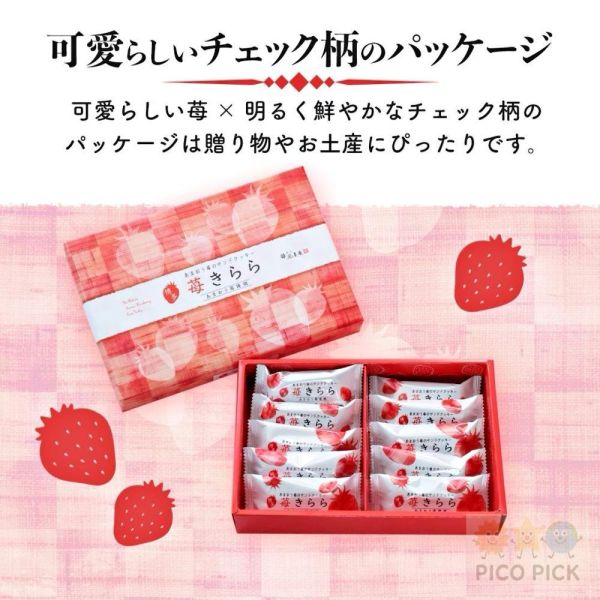 日本 博多風美庵 期間限定 九州福岡 甘王草莓餅乾 草莓奶油夾心巧克力餅乾 日本甜點 日式點心 人氣甜點 伴手禮 