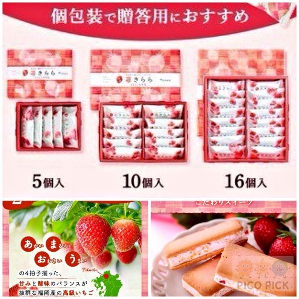 日本 博多風美庵 期間限定 九州福岡 甘王草莓餅乾 草莓奶油夾心巧克力餅乾 日本甜點 日式點心 人氣甜點 伴手禮 