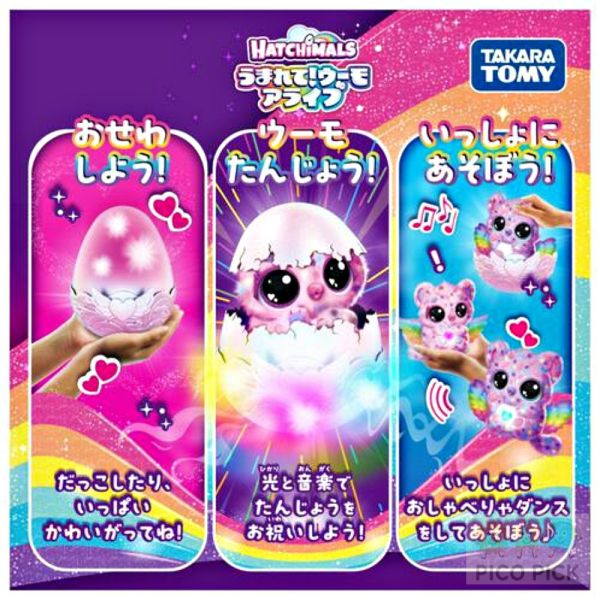 【日本限定】Takara Tomy Hatchimals Alive互動孵化寵物｜魔法羽毛版 全新限定設計｜會自己破殼出生的互動玩具 