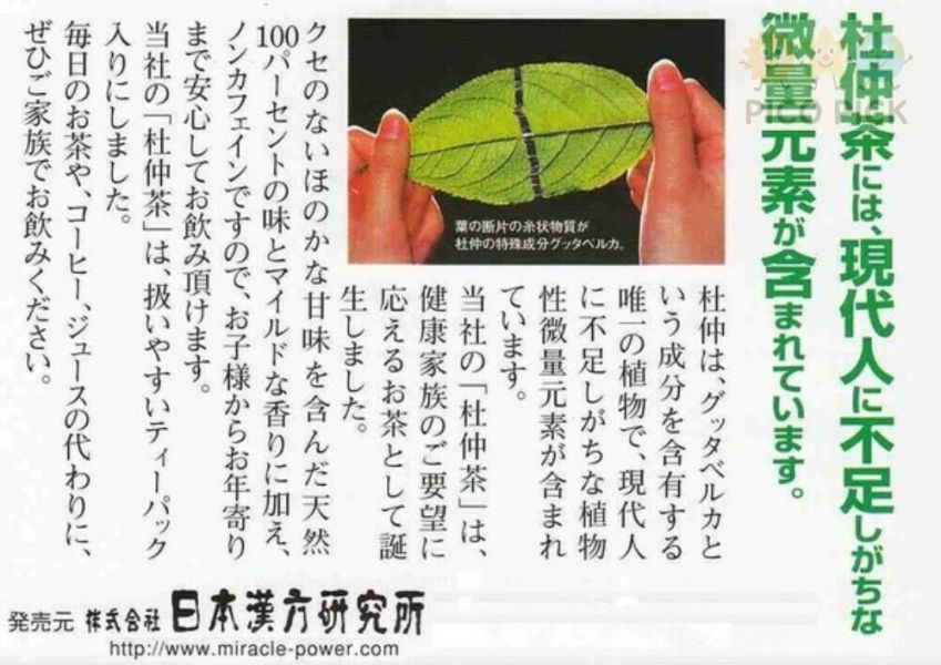 日本日本漢方研究所 日本產杜仲茶 無咖啡因 2gx30包 沖泡即飲 30包入｜ 