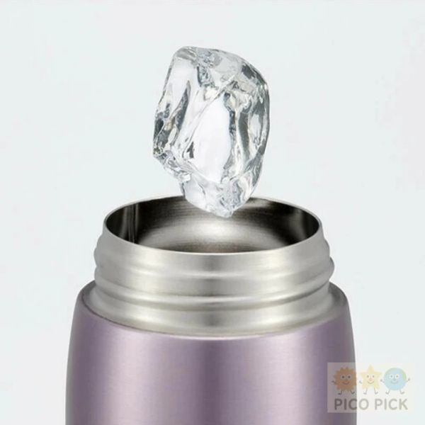 日本直送 迪士尼不鏽鋼保溫保冷瓶 350ml／雙飲口設計（日本正版 Skater） 