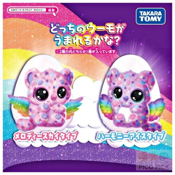 【日本限定】Takara Tomy Hatchimals Alive互動孵化寵物｜魔法羽毛版 全新限定設計｜會自己破殼出生的互動玩具 