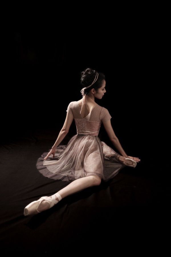 韓國iilaire - Clare velvet Rose短袖舞衣 