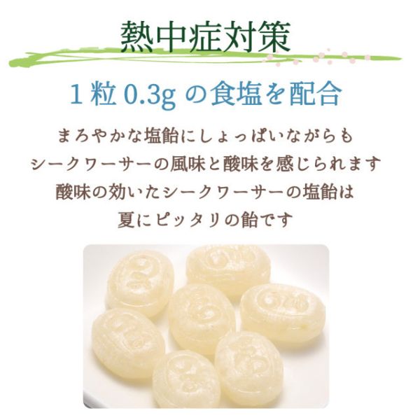 【榮太樓】夏日鹽味青檸糖｜紀州梅鹽糖 鹽味糖、預防中暑糖果、夏日補鹽糖果、青檸糖、紀州梅糖、日本糖果、玫瑰鹽糖、沖繩青檸、紀州梅、榮太樓糖果、夏日清爽糖、戶外活動補鹽