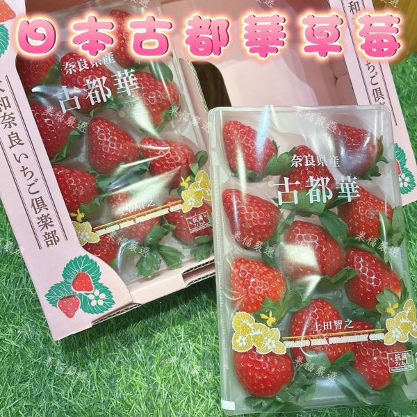 日本古都華草莓 古都華草莓
