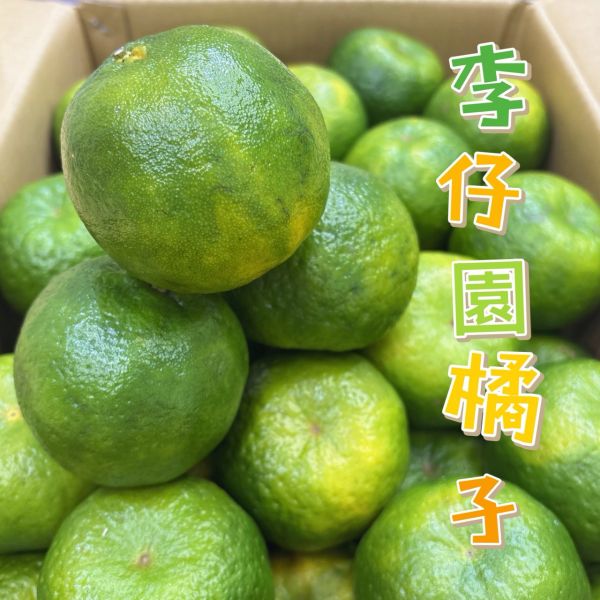 李仔園青皮橘子 🇹🇼 李仔園青皮橘子 🍊-酸甜多汁 維生素C💪