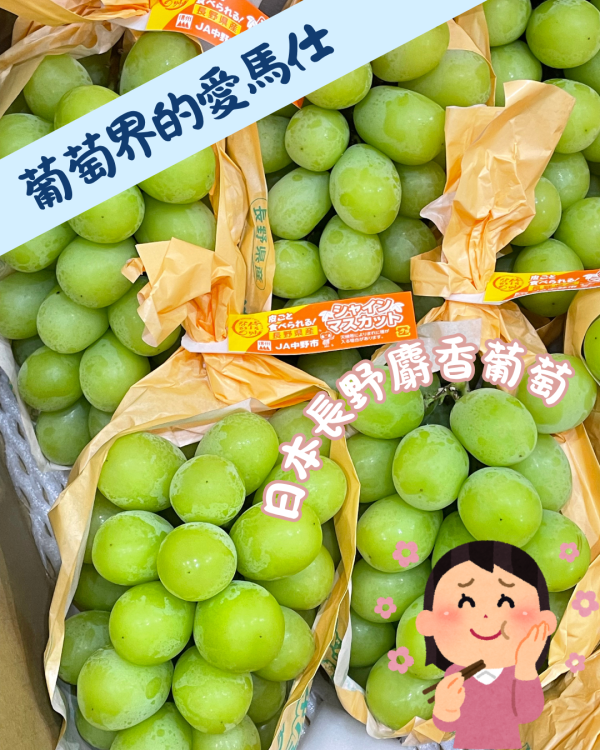 長野麝香葡萄 