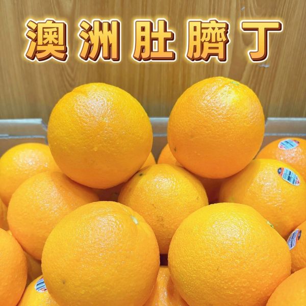 澳洲大肚臍丁 🍊澳洲大肚臍丁 澳洲橘子 大肚其丁
💦清甜爆汁
💦酸味較弱
💦香味濃郁
💦適合直接食用或榨汁飲用
果肉細緻・清爽解膩
💦 爆汁口感・現榨果汁超讚
🍃 果肉飽滿・橙香四溢