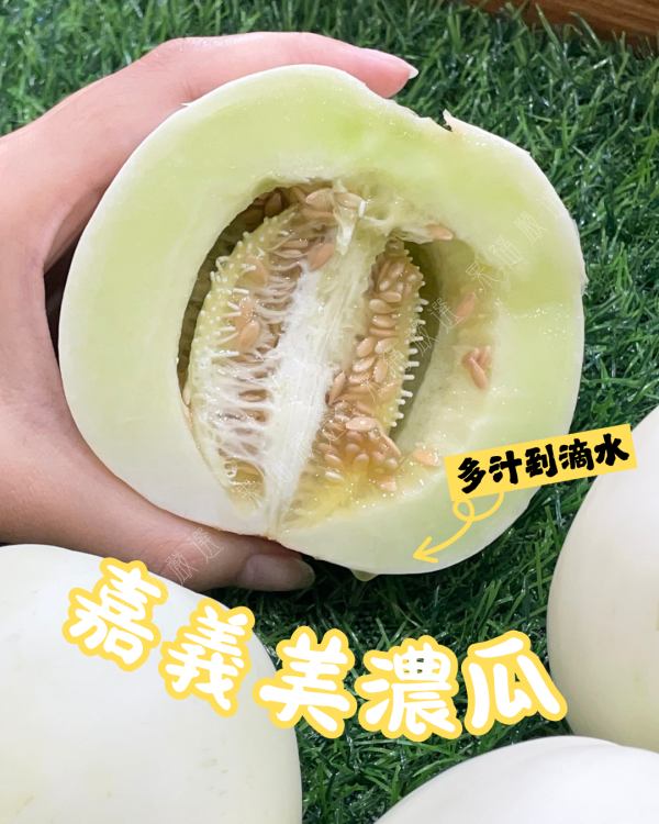 美濃瓜 