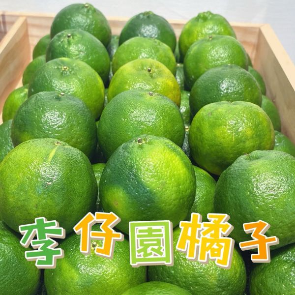 李仔園青皮橘子 🇹🇼 李仔園青皮橘子 🍊-酸甜多汁 維生素C💪
